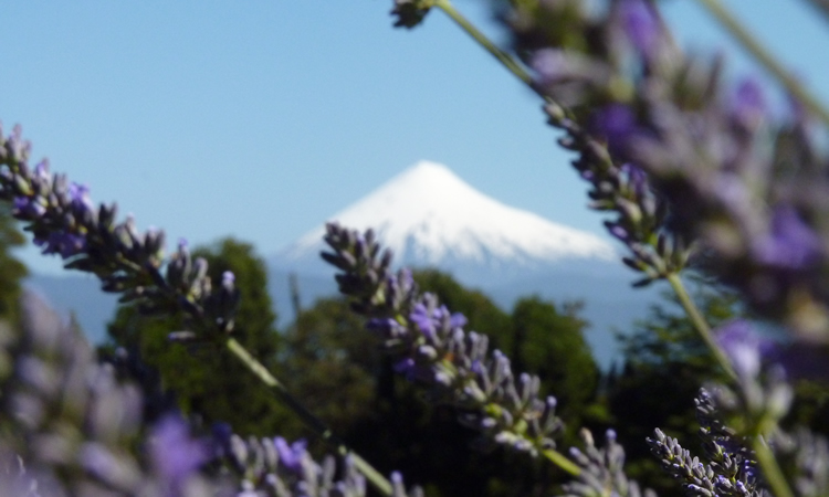 volcan osorno